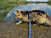 84 Bello camminare nell'acqua fresca !